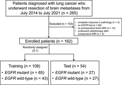 Radiomic Signatures for Predicting EGFR Mutation Status in Lung Cancer Brain Metastases